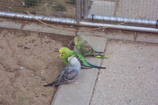 Resize of 21-08-20030017.jpg