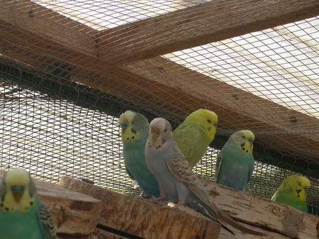 Resize of Resize of gauche 5 ( 2 ).JPG