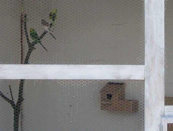 la construction des nid a Ã©tÃ© soignÃ©e!.jpg