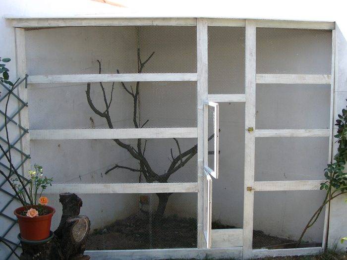 voliÃ©re peinte.jpg