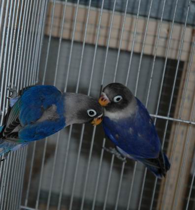 Resize of Resize of Img2005-07-24-11.16.18.JPG