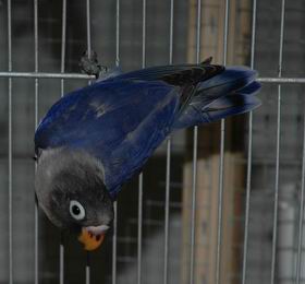 Resize of Resize of Img2005-07-24-11.16.10.JPG