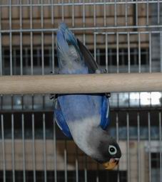 Resize of Resize of Img2005-07-24-11.15.48.JPG