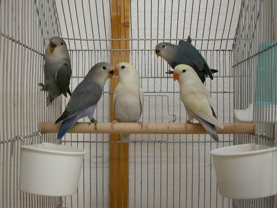 Resize of Img2005-06-24-08.15.29.JPG