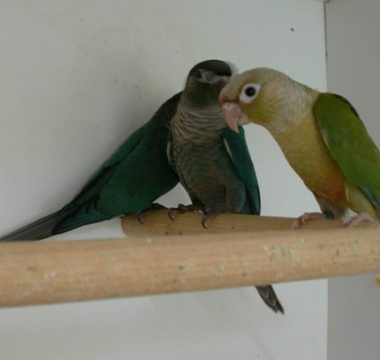 Resize of Img2005-08-03-14.10.53.JPG