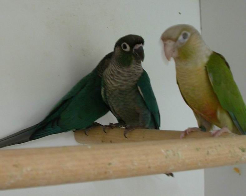 Resize of Img2005-08-03-14.10.48.JPG