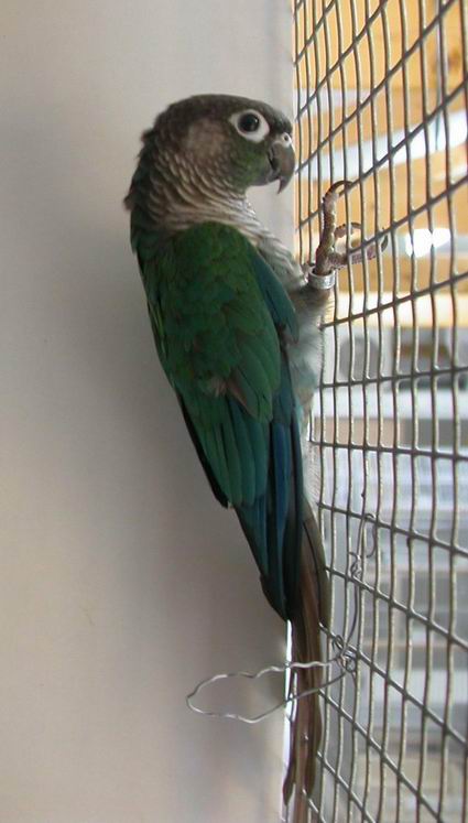 Resize of Img2005-08-03-14.13.59.JPG