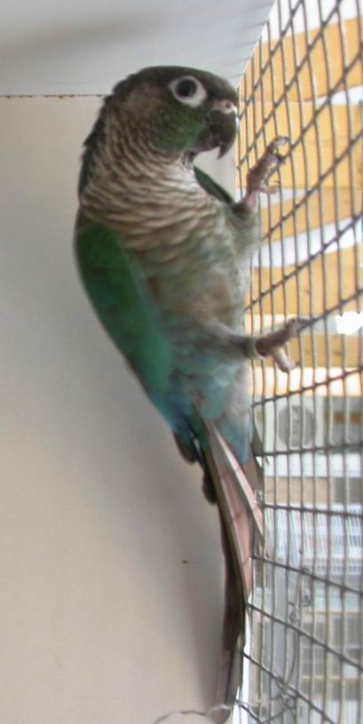 Resize of Img2005-08-03-14.13.37.JPG