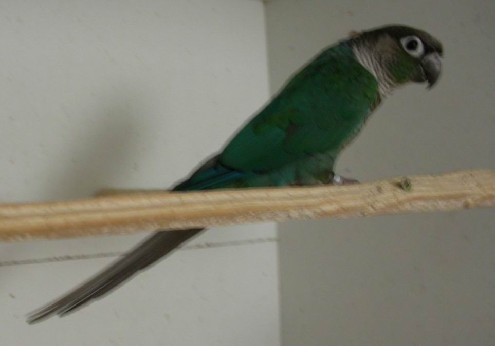 Resize of Img2005-08-03-14.11.54.JPG