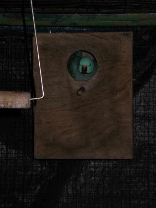 fete marco 15 ans 032.jpg