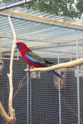 Resize of 03-05-20030156.jpg