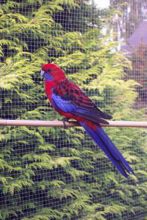 Resize of 21-08-20030033.jpg