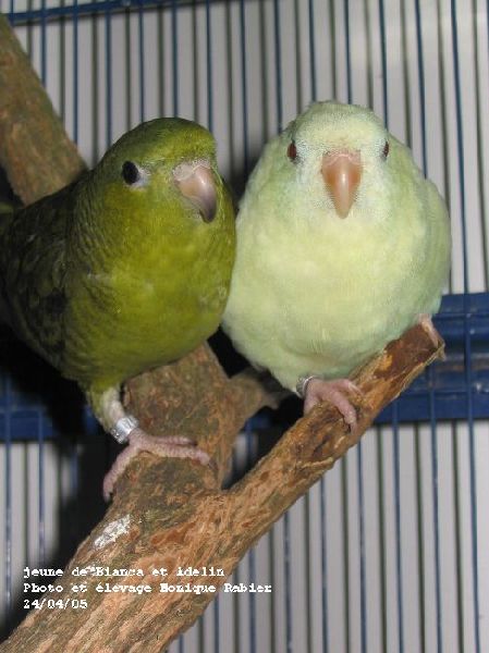 174_7477  (Bianca).jpg