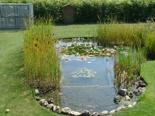 bassin 002rÃ©duit.jpg