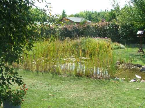 bassin 014rÃ©duit.jpg