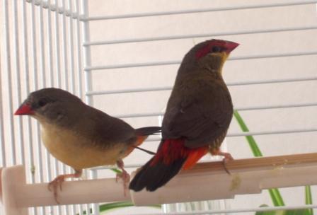 23-07-05 couple2.JPG