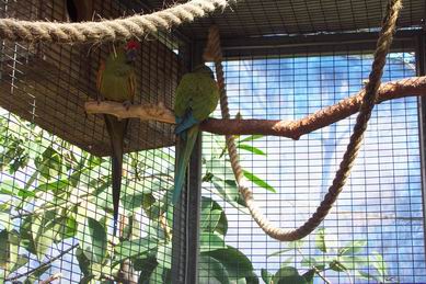 Resize of Tenerife30051.jpg