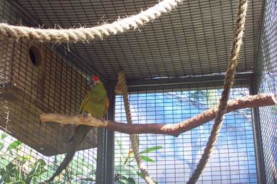 Resize of Tenerife30050.jpg