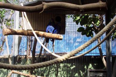 Resize of Tenerife30054.jpg