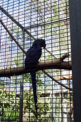 Resize of Tenerife30053.jpg