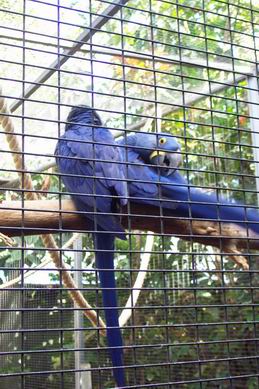 Resize of Tenerife30052.jpg