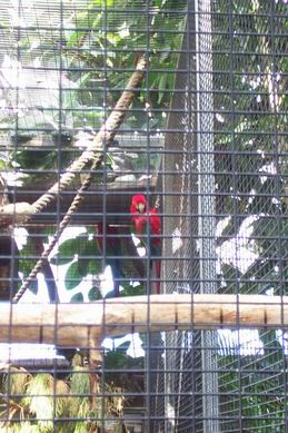 Resize of Tenerife30056.jpg