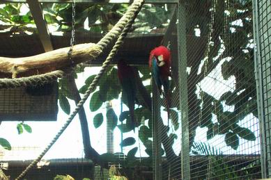 Resize of Tenerife30055.jpg