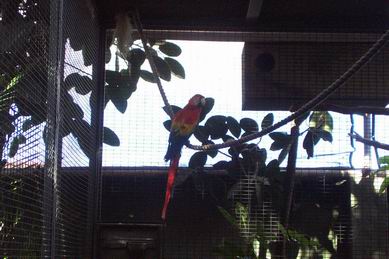 Resize of Tenerife30058.jpg