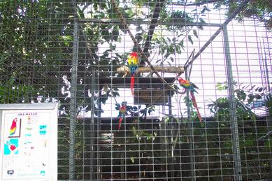 Resize of Tenerife30057.jpg