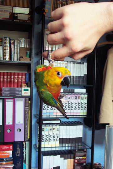 Resize of 03-05-20030098.jpg