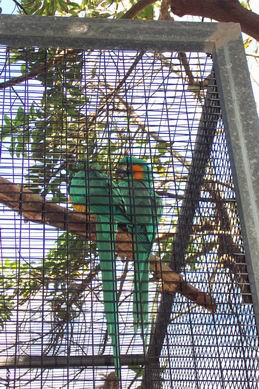 Resize of Tenerife30059.jpg