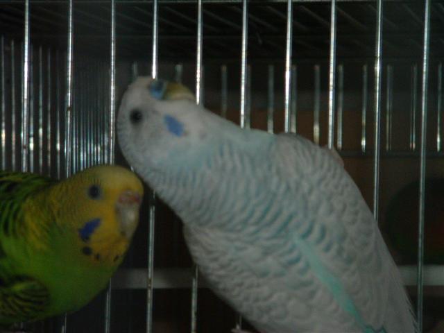 DSCF0029 (Small) (2).JPG