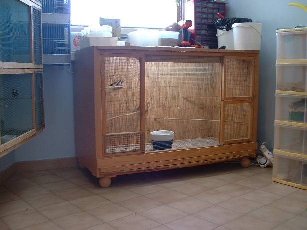 PiÃ©ce Ã  oiseaux (15).jpg