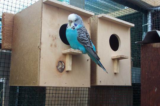 Resize of 03-05-20030123.jpg