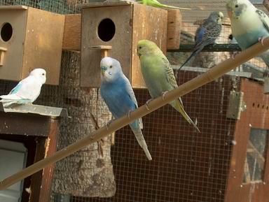 Resize of 12-09-20030003.jpg