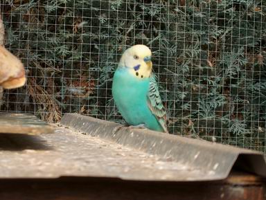 Resize of 12-09-20030012.jpg