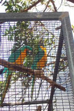 Resize of Tenerife30066.jpg