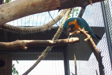 Resize of Tenerife30067.jpg