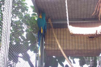 Resize of Tenerife30068.jpg