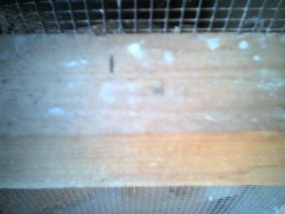 9 axe du chevron tracÃ©.jpg