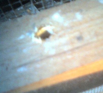 11 trou du 1er chevron.jpg