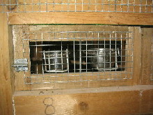 plateau tournant 1_1_1.JPG