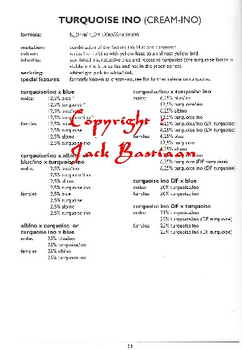 CrÃ©mino texte Bastiaan.jpg