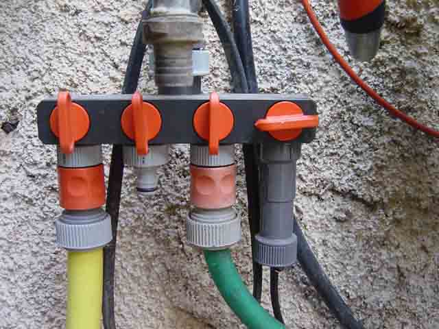 VoliÃ¨re_2005_07_30 015.jpg