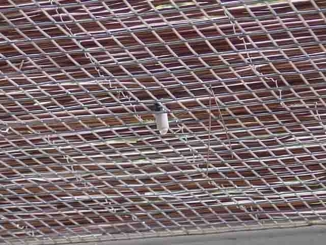 VoliÃ¨re_2005_07_30 014.jpg