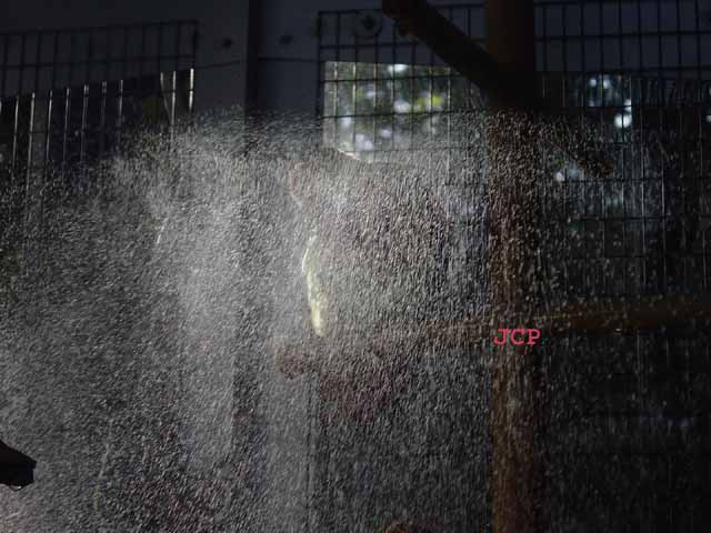 Omnis_2005_07_28 025.jpg