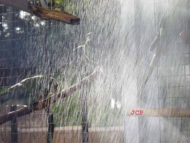 Omnis_2005_07_28 023.jpg