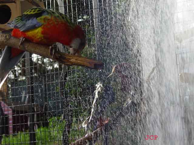 Omnis_2005_07_28 018.jpg