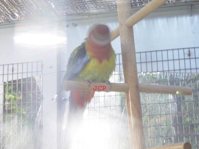 Omnis_2005_07_28 026.jpg