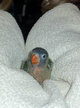 Resize of 31-12-2003-20045.jpg